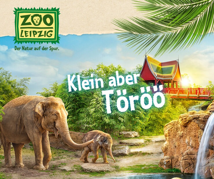 projekt zoo leipzig